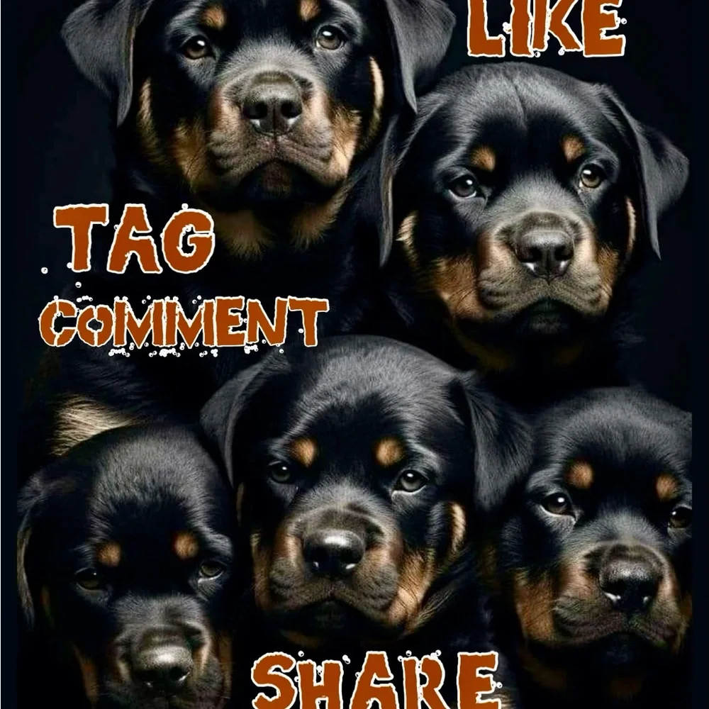 Everything Pets Party 5/7 6pm CST - Picture 2 of 3